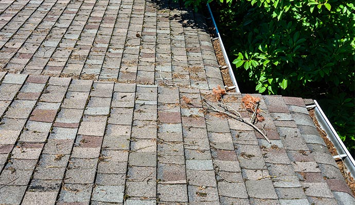 debris and twigs on the gutter