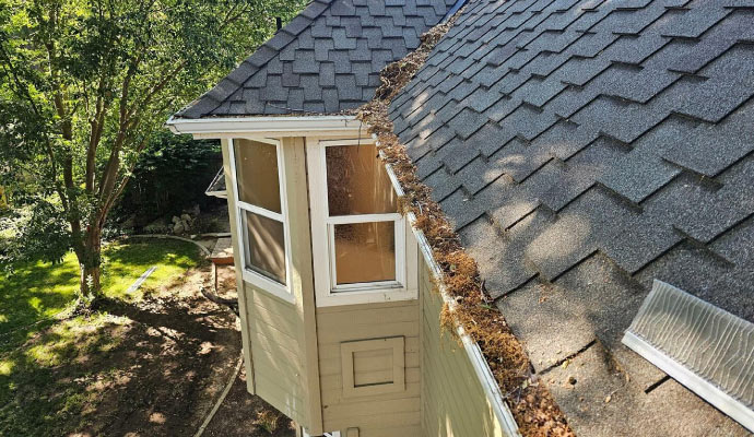 A house's roof and gutter filled with debris