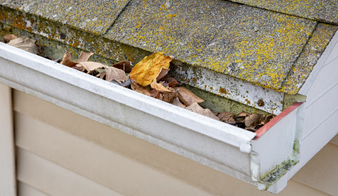 A gutter affected by mold and visibly damaged