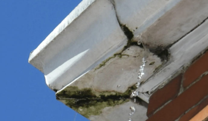 A white gutter with noticeable greenish-black mold growth