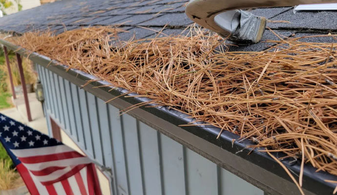 A roof gutter filled with pine needles