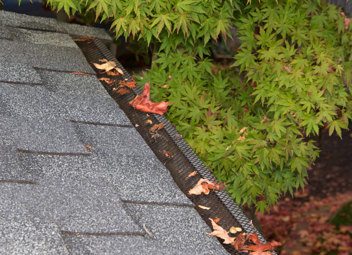 Leaf guards gutter guard