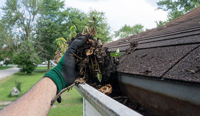 removing  debris and twigs from gutter