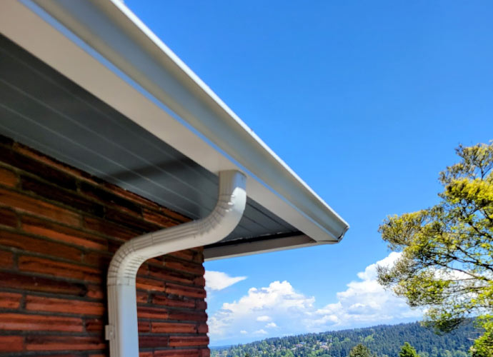 Styles of Gutters in Boise & Meridian